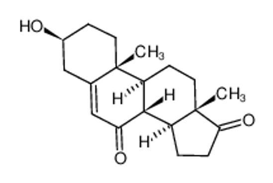 Picture of 7-Keto Dehydro Epiandrosterone