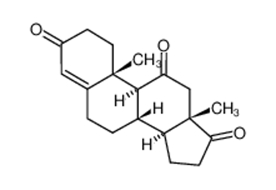 Imagem de Adrenosterone