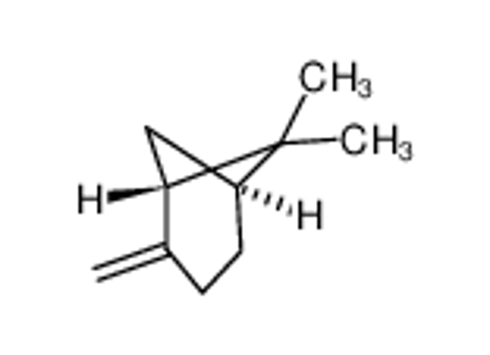 Изображение β-pinene