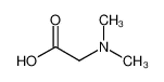 Picture of N,N-dimethylglycine
