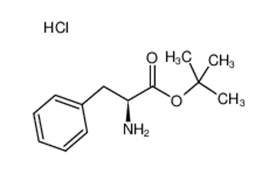 Picture of L-Phenylalanine tert-butyl ester hydrochloride