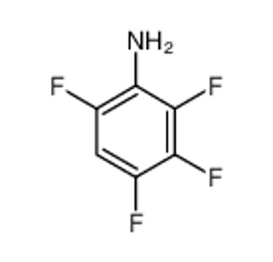 Picture of 2,3,4,6-Tetrafluoroaniline