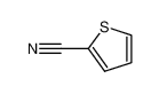 Picture of 2-Thiophenecarbonitrile