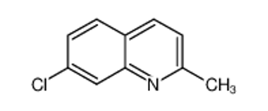 Picture of 7-Chloro-2-methylquinoline