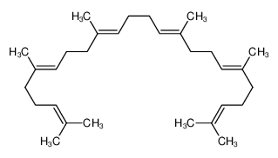 Picture of squalene