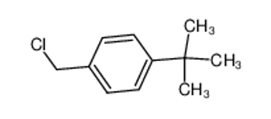 Picture of 1-tert-butyl-4-(chloromethyl)benzene