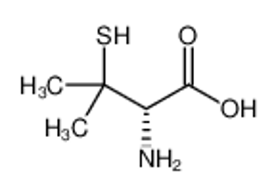 Picture of D-penicillamine