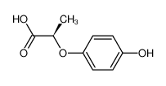 Picture of (R)-(+)-2-(4-Hydroxyphenoxy)propionic acid