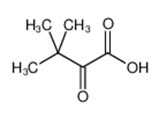 Picture of 3,3-Dimethyl-2-oxobutyric acid