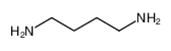 Изображение putrescine