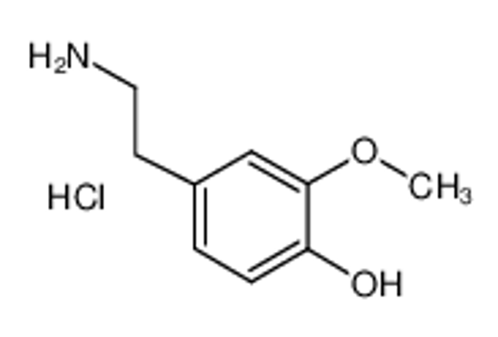 Picture of 3-O-Methyldopamine hydrochloride
