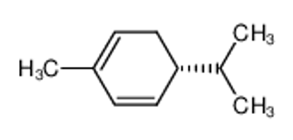 Picture of (-)-α-phellandrene
