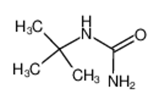 Picture of TERT-BUTYLUREA