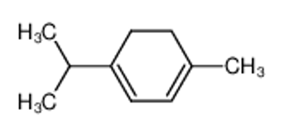 Picture of α-terpinene