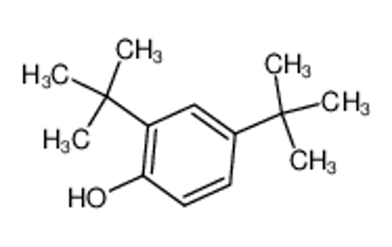 Picture of 2,4-Di-tert-butylphenol