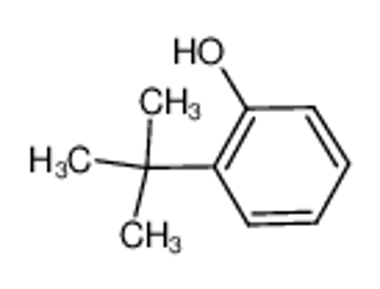 Picture of 2-tert-Butylphenol