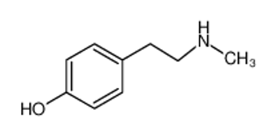 Picture of N-methyltyramine