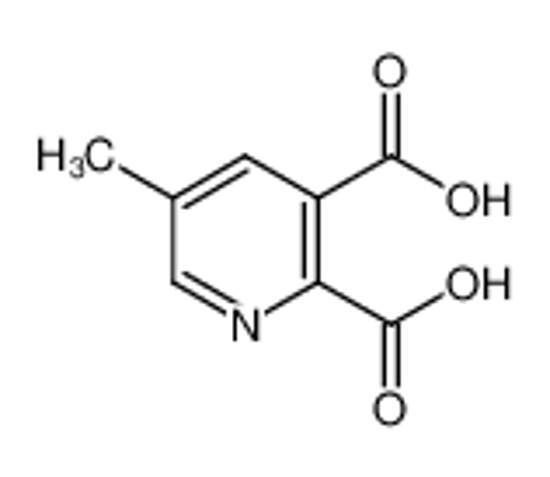 Picture of 5-Methylpyridine-2,3-dicarboxylic acid