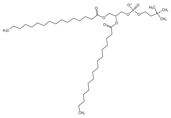 Picture of 1,2-DIPALMITOYL-SN-GLYCERO-3-PHOSPHOCHOLINE