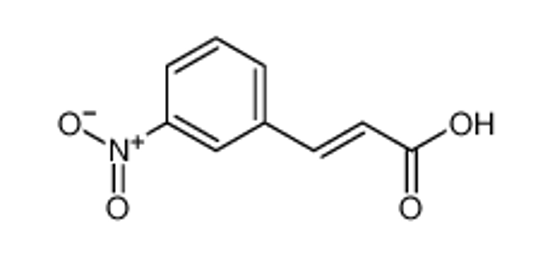 Picture of 3-Nitrocinnamic Acid