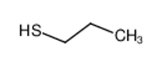 Picture of propane-1-thiol