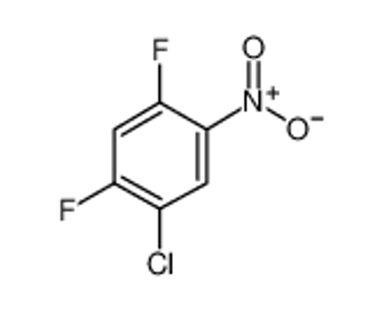 Picture of 2,4-Difluoro-5-Chloronitrobenzene