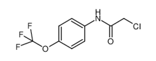 Picture of 2-Chloro-N-(4-(trifluoromethoxy)phenyl)acetamide