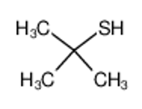 Picture of 2-Methyl-2-Propanethiol