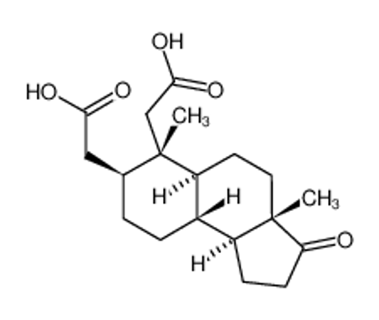 Picture of 2,3-Seco-5-androstan-17-one-2,3-dicarboxylic acid