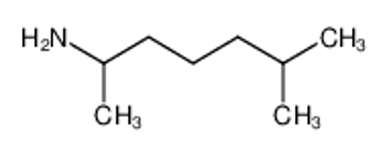 Picture of 2-Amino-6-Methylheptane