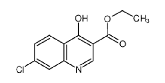 Picture of ethyl 7-chloro-4-oxo-1H-quinoline-3-carboxylate
