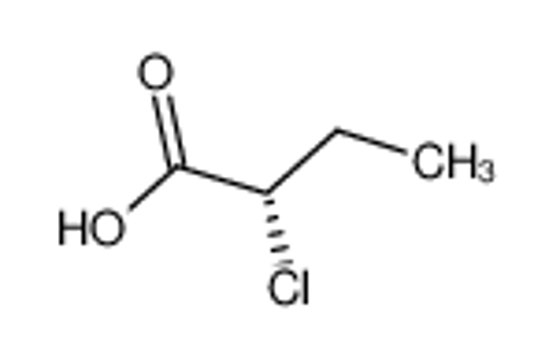 Picture of (S)-2-CHLORO-N-BUTYRIC ACID