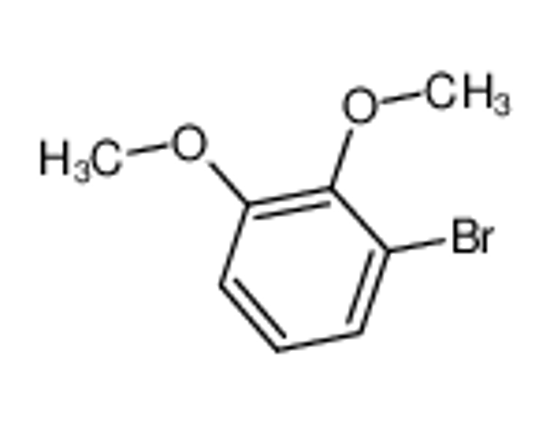 Picture of 1-Bromo-2,3-dimethoxybenzene