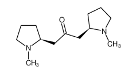 Picture of cuscohygrine