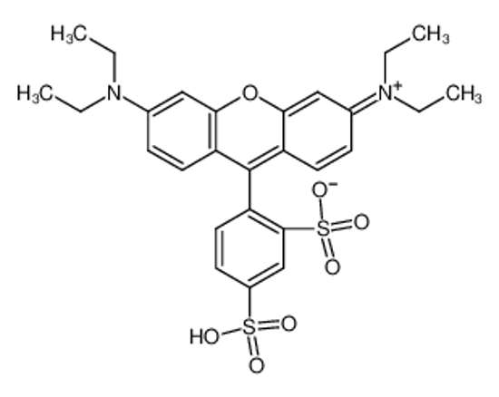 Picture of SULFORHODAMINE B