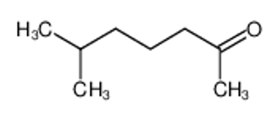 Picture of 6-Methyl-2-heptanone