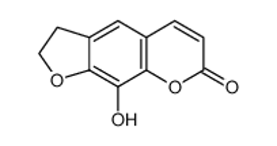 Picture of 9-hydroxy-2,3-dihydrofuro[3,2-g]chromen-7-one