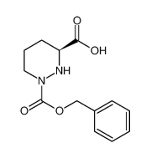 Picture of (3S)-1-phenylmethoxycarbonyldiazinane-3-carboxylic acid