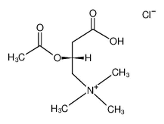Picture of o-Acetyl-L-carnitine hydrochloride