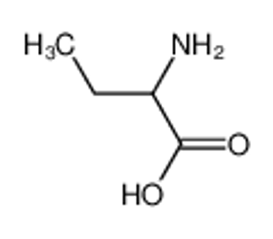 Picture of α-aminobutyric acid