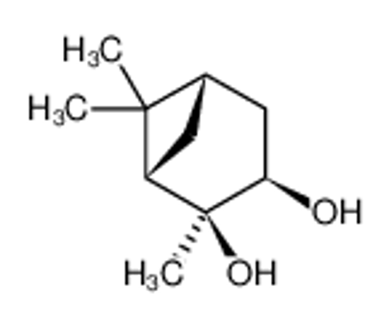 Picture of (1S,3R,4S,5S)-4,6,6-trimethylbicyclo[3.1.1]heptane-3,4-diol