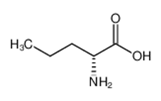 Picture of (2R)-2-aminopentanoic acid