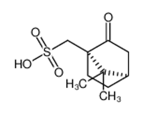 Picture of camphorsulfonic acid
