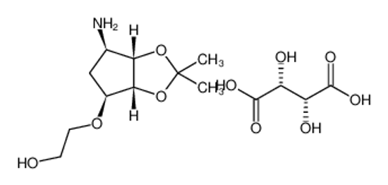 Picture of 2-(((3aR,4S,6R,6aS)-6-amino-2,2-dimethyltetrahydro-3aH-cyclopenta[d][1,3]dioxol-4-yl)oxy)ethanol (2R,3R)-2,3-dihydroxysuccinate