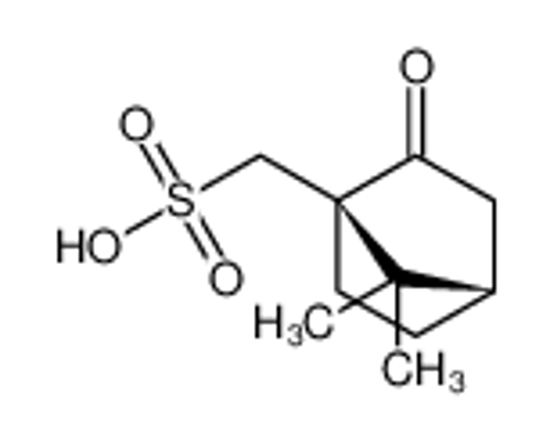 Imagem de (R)-camphorsulfonic acid
