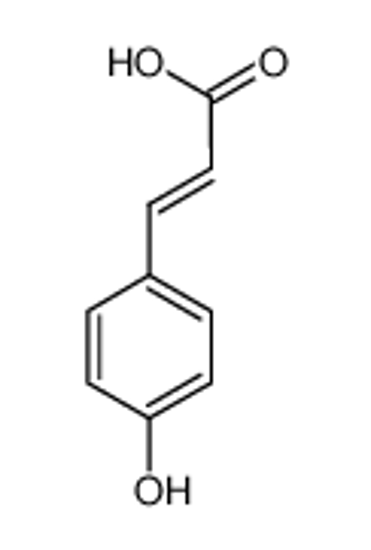 Picture of p-Coumaric acid