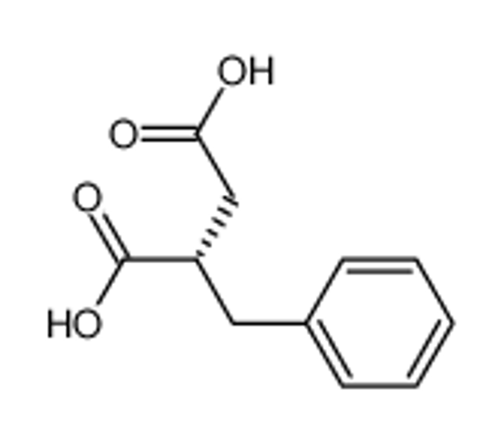 Picture of (S)-2-Benzylsuccinic Acid