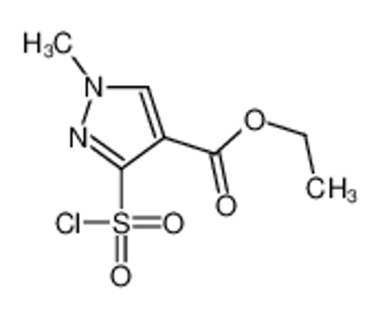 Picture of ethyl 3-chlorosulfonyl-1-methylpyrazole-4-carboxylate