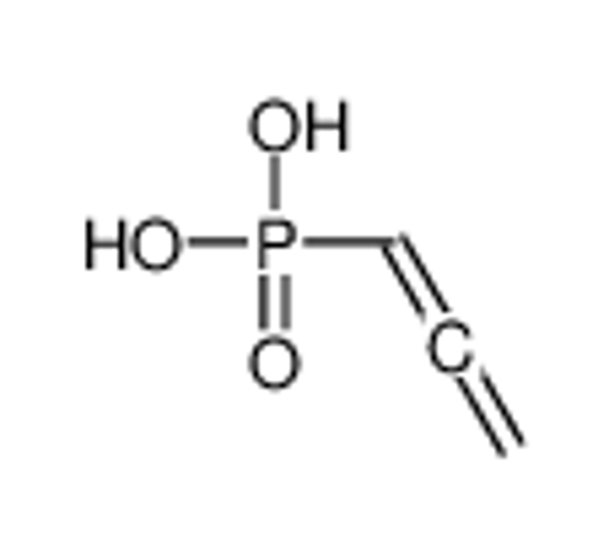 Picture of propa-1,2-dienylphosphonic acid