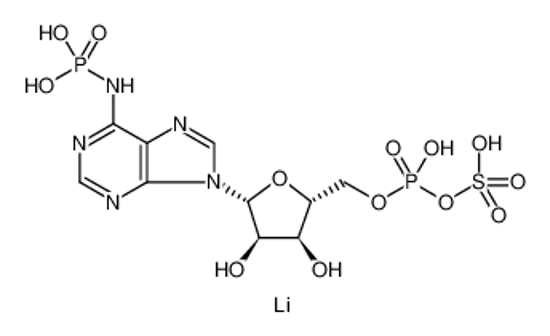 Picture of Sulfuric acid, 5'-​anhydride with N-​phosphono-​5'-​adenylic acid, lithium salt (9CI)